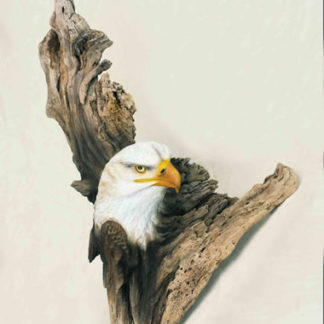 Eagles head - Tupelo Roughout