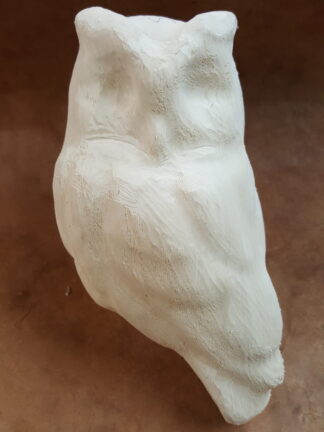 Screech owl - Tupelo Roughout