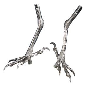 Cast Feet- Baltimore Oriole