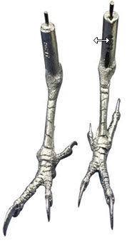 Cast Feet- Flicker