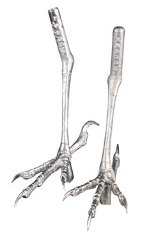 Cast Feet- Meadowlark