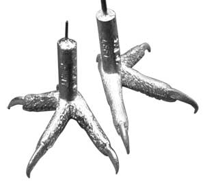 Cast Feet- Owl, Saw Whet