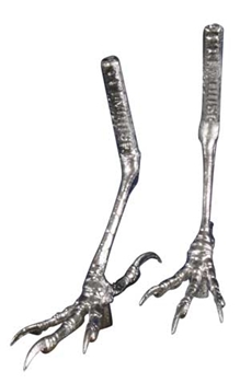 Cast Feet- Titmouse