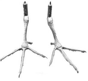 Cast Feet- Sora Rail / Woodcock