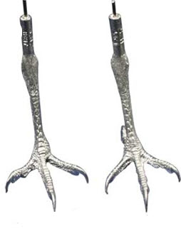 Cast Feet- Hawk, Sparrow (Kestrel)