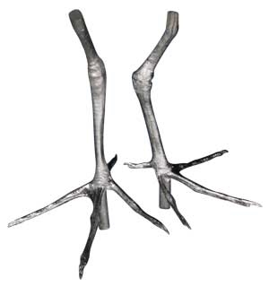 Cast Feet- Sandpiper, Spotted