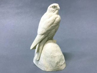 Hawk Kestrel, (1/2 scale) on rock, bob Guge study cast