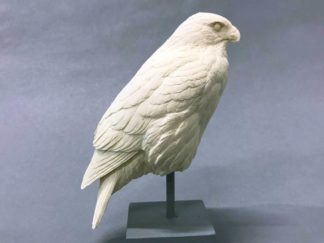 HAWK, Red Tail Hawk 1/4 scale , bob Guge study cast
