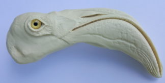 FLAMINGO GREATER WITH EYES study cast #516