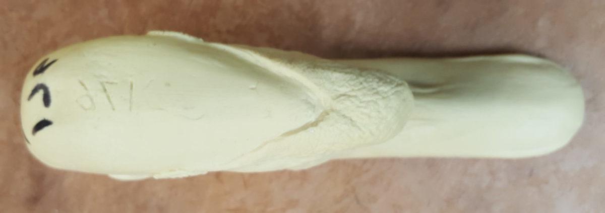 SWAN MUTE study cast - Image 2
