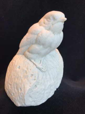 Chickadee Baby on mound- Josh Guge study cast
