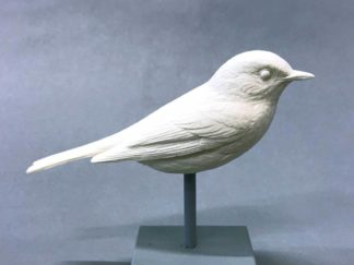 Warbler , Yellow Rump - bob Guge study cast