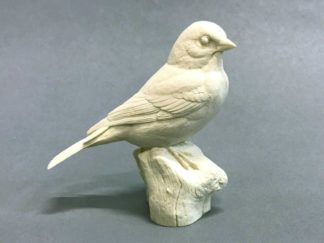 Goldfinch, on stump- Bob Guge study cast