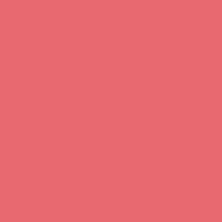 LETTERING ENAMEL SALMON PINK 4OZ