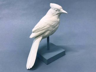 Blue Jay, 3/4 scale 7" overall Bob Guge study cast