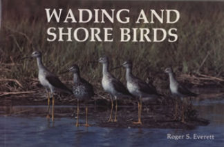 Wading and Shore Birds