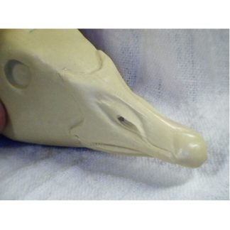 GOOSE WHITEFRONT study cast