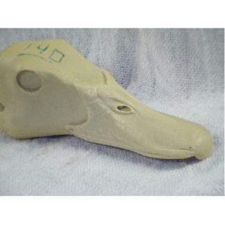 TREE DUCK FULVOUS study cast