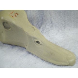 MALLARD HEN study cast