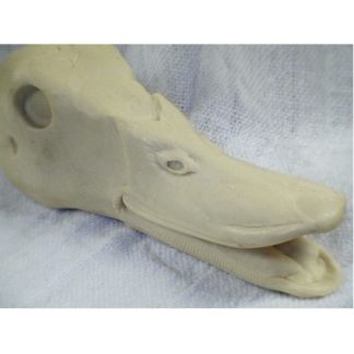 MALLARD HEN OPEN MOUTH