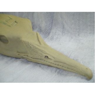 MERGANSER COMMON DRAKE study cast
