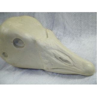 GOOSE ROSSS study cast