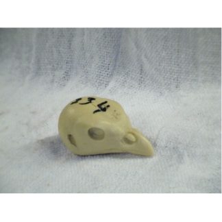 QUAIL GAMBELS study cast