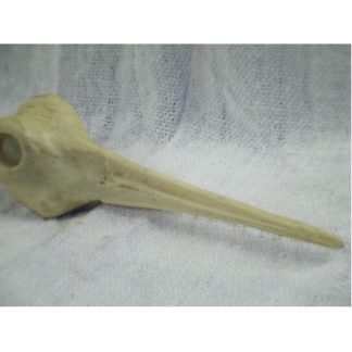 WOODCOCK study cast