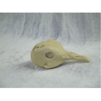 DOVE WHITE WING #262 reference cast heads