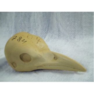 MAGPIE EUROPEAN study cast