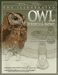 Illustrated Owl: Screech & Snowy