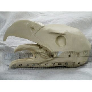 EAGLE BALD LG. OPEN MOUTH #332-B reference cast heads