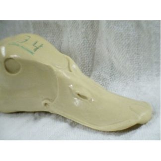 SCAUP GREATER DRAKE study cast