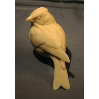Finch, Purple - by R. Martin study cast. Head Turned