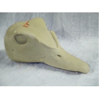 WOOD DUCK DRAKE study cast
