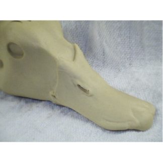 REDHEAD DRAKE study cast