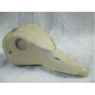WOOD DUCK MALE AVERAGE study cast