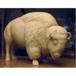 Bison Study Cast, Randy Martin