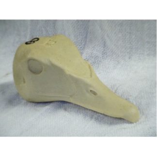 WOOD DUCK HEN study cast