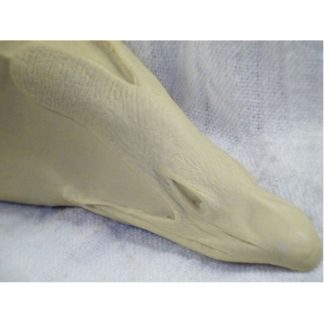 EIDER COMMON DRAKE #82 reference cast heads
