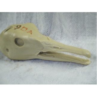 MERGANSER HOODED DRAKE O/M