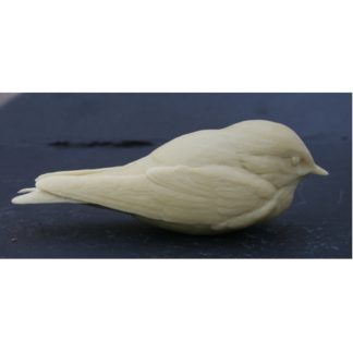Swallow, Barn, baby birds - by R. Martin study cast