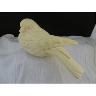 Bluebird, Eastern NEW FLUFFY BB- Bob Guge study cast