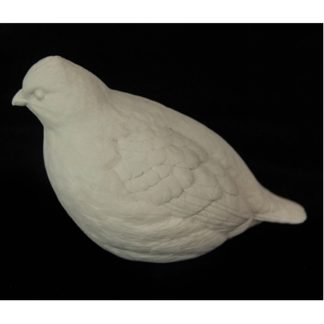 Quail - Bob-white - Bob Guge study cast 2/3