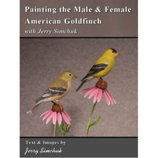 Painting the Male & Female American Goldfinch