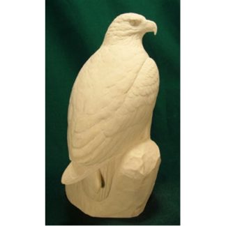 Eagle, Bald bob Guge study cast