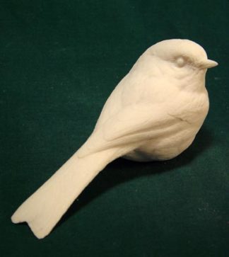 Chickadee, Black-capped - Bob Guge study cast