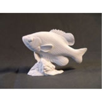 Crappie Fish by Josh Guge, Study Cast<P>6" long X 4 1/2" high