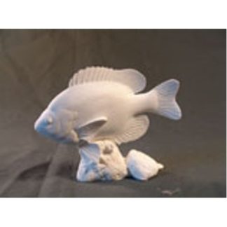 Bluegill Fish by Josh Guge, Study Cast<P>6 1/2" long X 5" high