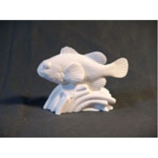 Clown Fish by Josh Guge, Study Cast<P>4" long X 3" high